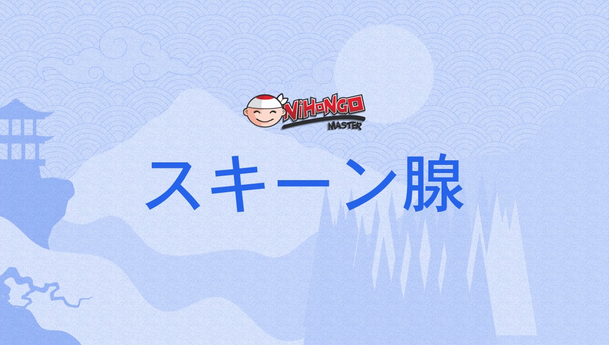 スキーン腺の画像 スキーン腺, スキーンせん, sukīnsen - Nihongo Master